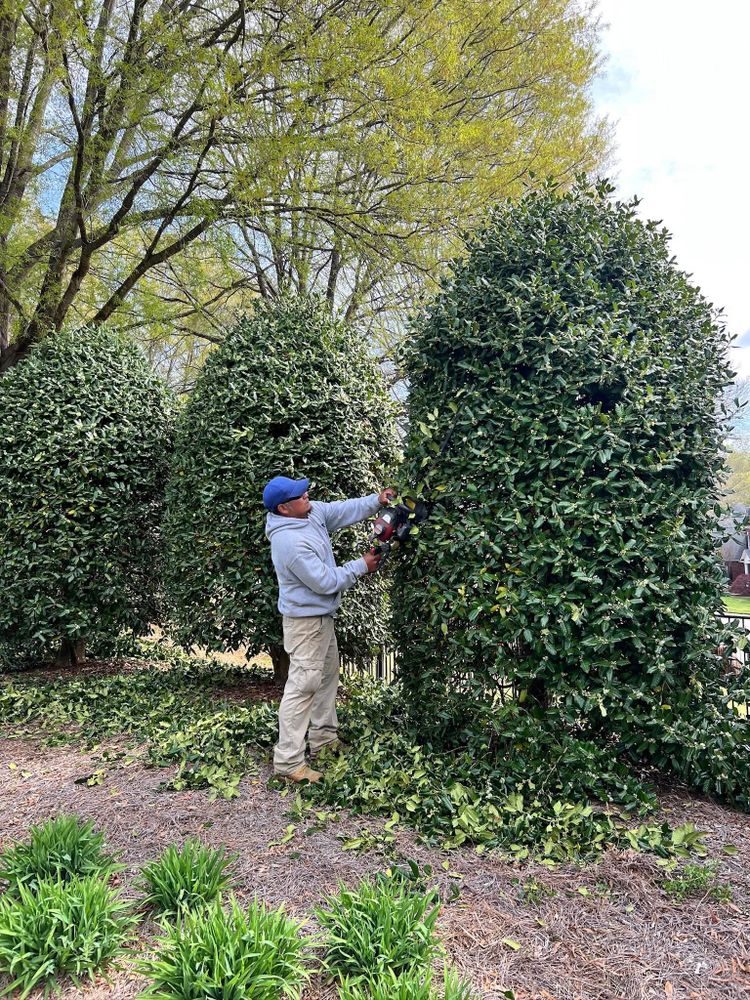 Enhance your outdoor space with our expert tree services, precise hedge trimming, and vibrant flower installations. We ensure a beautifully maintained landscape that complements your home year-round. for Massey Landscapings in Gastonia, NC