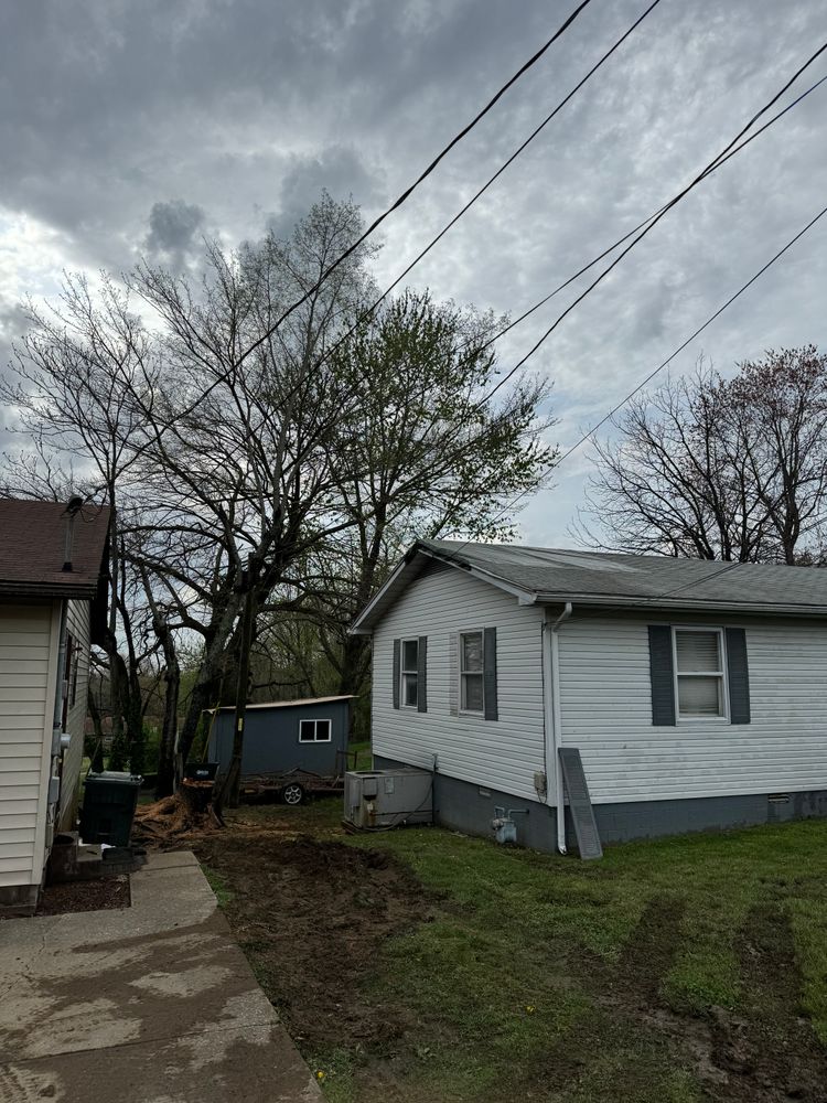 All Photos for Curtis Tree Service LLC in Hopkins County, KY