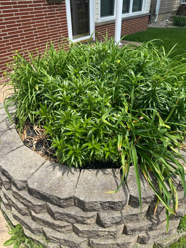 All Photos for OT Lawn and Landscaping LLC in Carey, OH