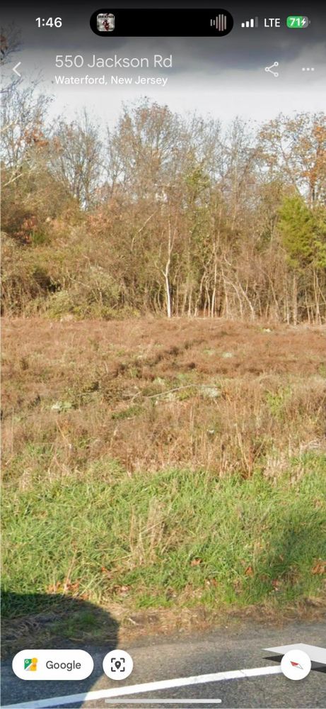 Our Forestry Mulching service efficiently clears overgrown land by turning unwanted vegetation into mulch, enhancing soil health while preserving the landscape and providing a sustainable solution for property maintenance. for Samuel Zeilman Construction in Woodbury Heights, NJ