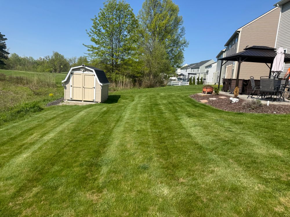 All Photos for Yard Theory in Willowick, OH
