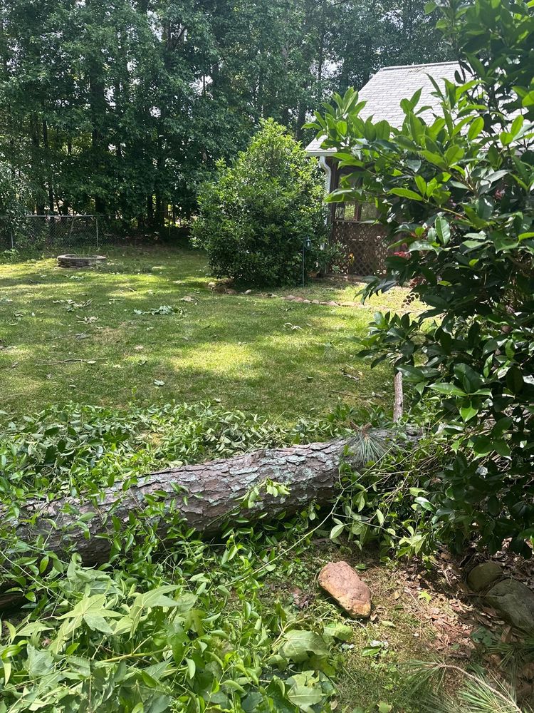 All Photos for Bulldawg Disaster Response in Atlanta, GA