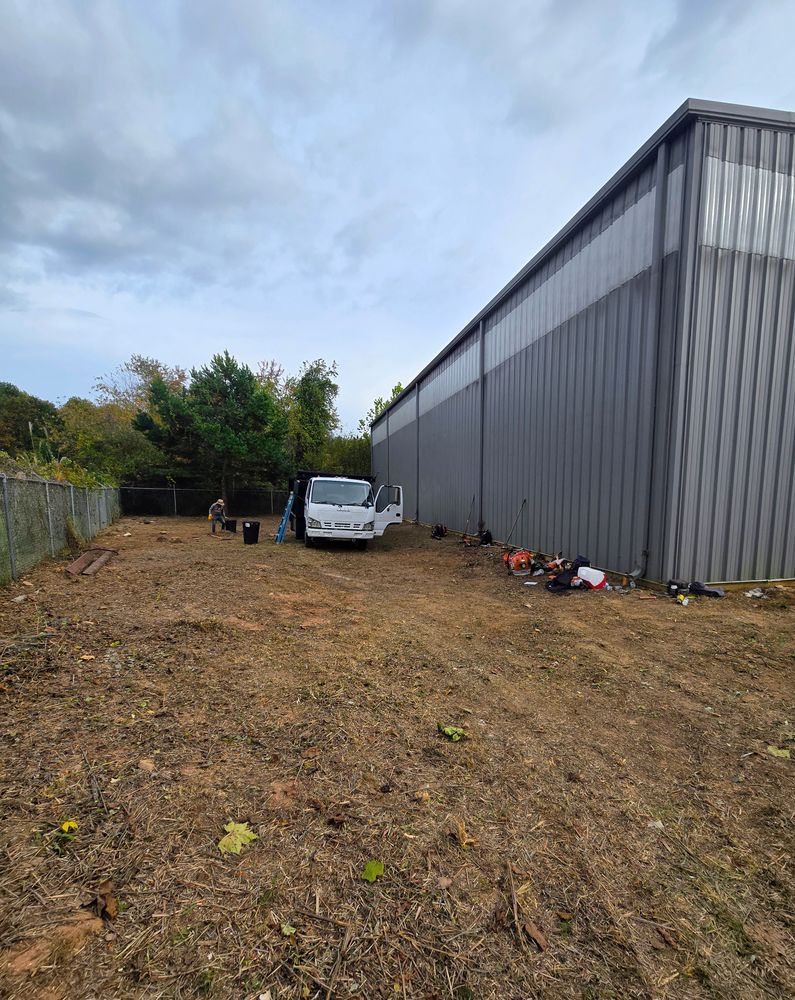 Clean ups and invasive plant management  for C4 TrueVision Renovations in Asheville, NC