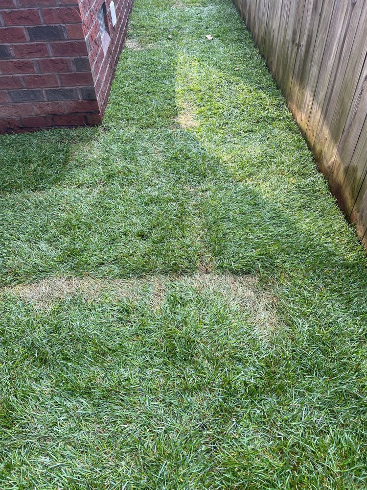 Our Sod Install service ensures a lush, green lawn quickly and efficiently. For comprehensive landscaping solutions, including "Christmas lights installation near me," trust our expert team to enhance your home's curb appeal. for Beasley’s Lawn Care Services in Guyton, GA