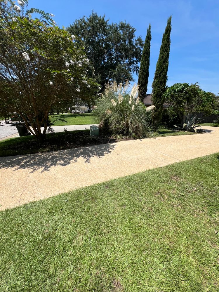 All Photos for Southern Venom Services in Daphne, AL