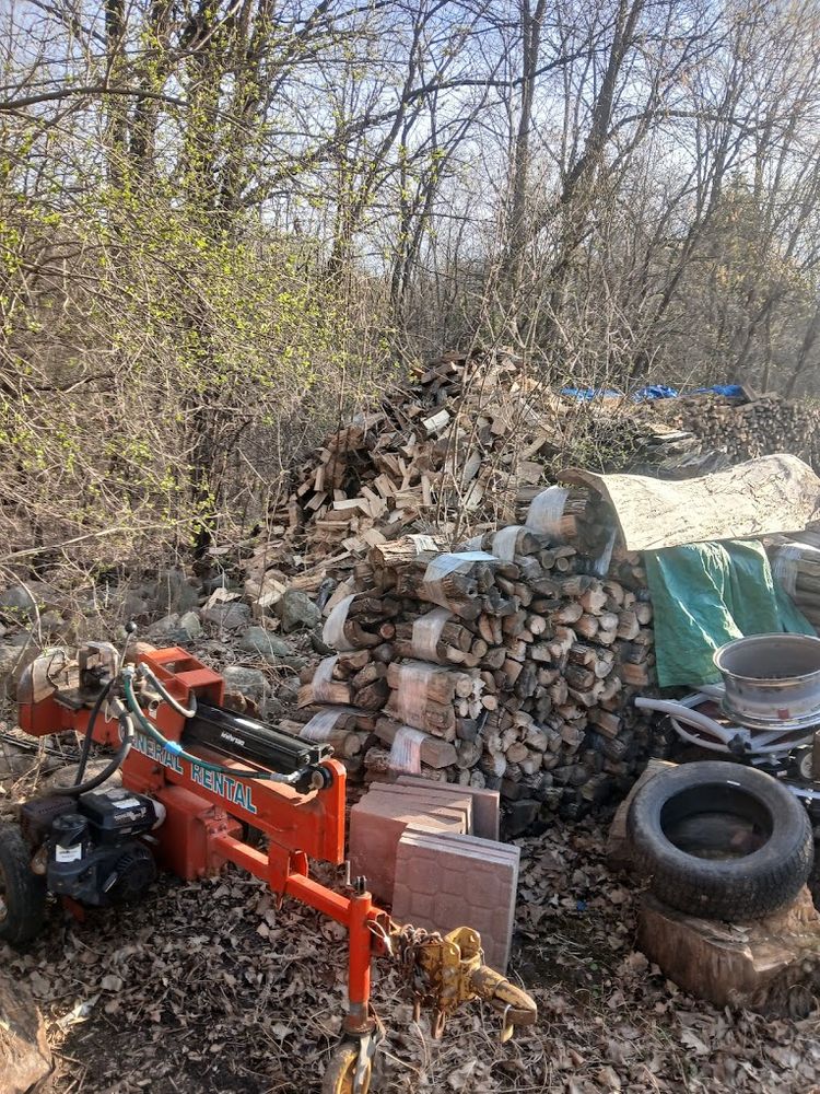 All Photos for Rockford Tree Specialist in Rockford, MN