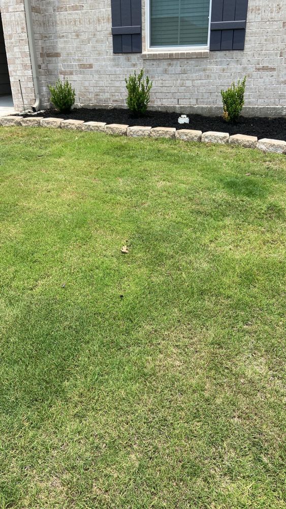 All Photos for Pina Landscaping in Austin, TX