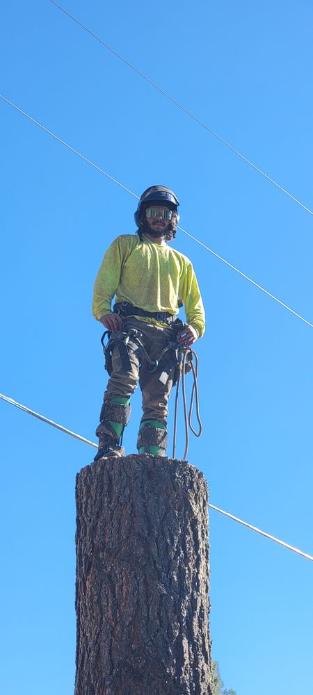 All Photos for StockPro Tree Specialists in Show Low, AZ