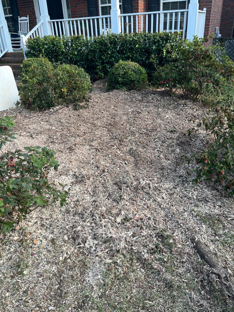 Stump Grinding for Otis Lee Stump Grinding LLC in Elgin, SC