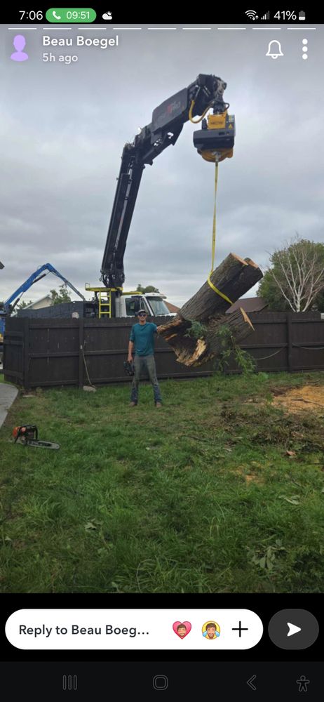 All Photos for SMH Tree Service in Atwood, KS