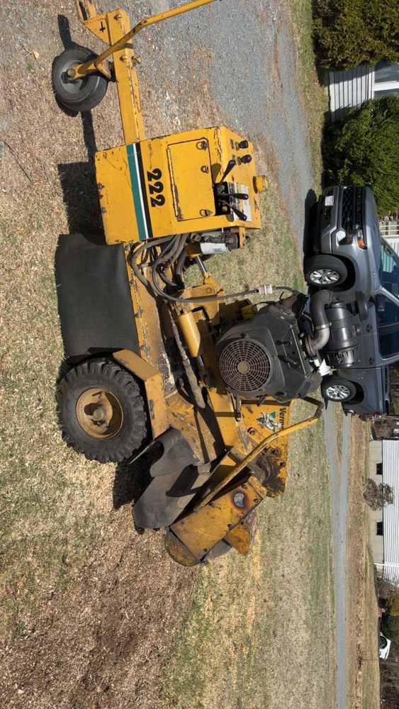 All Photos for Dwights Tree Service LLC in Middleborough, MA