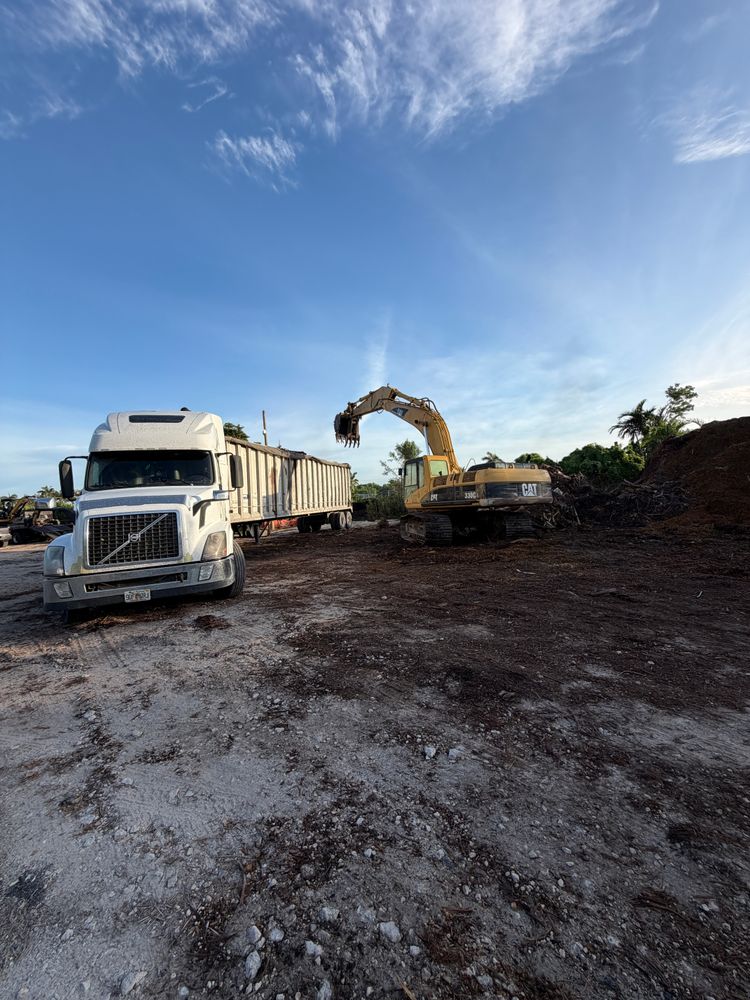 All Photos for Nurry Tree Services in Miami, FL