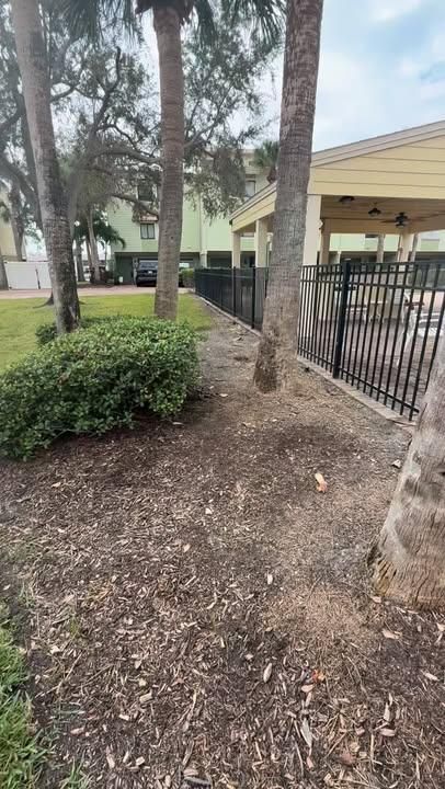 Fall Clean Up for AGT Landscape & Design LLC. in Saint Petersburg, FL