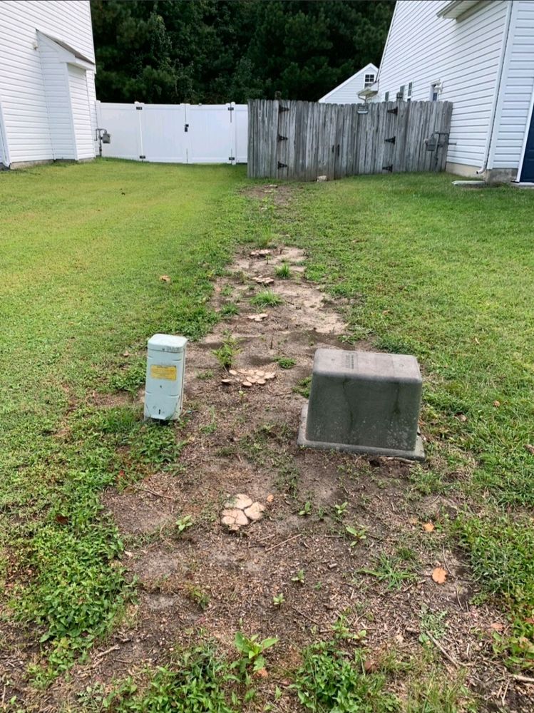 All Photos for Anchor & Grind Stump in Chesapeake, VA