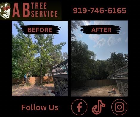 All Photos for AB Tree Service in Raleigh, NC