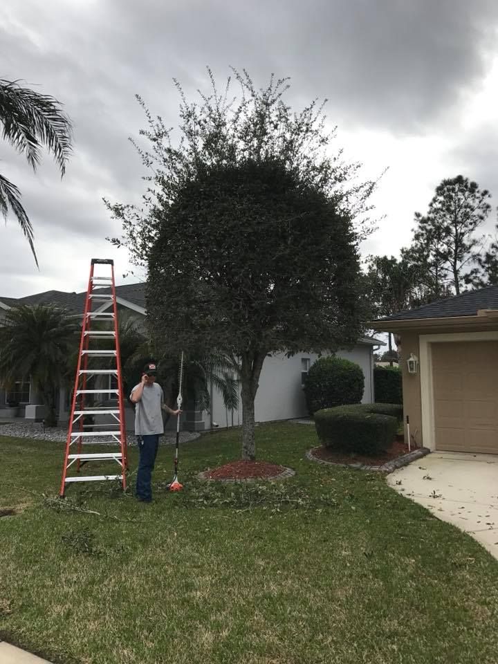 Residential for Cunningham's Lawn & Landscaping LLC in Daytona Beach, Florida