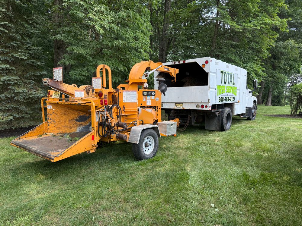 All Photos for Total Tree Service in Washington, NJ