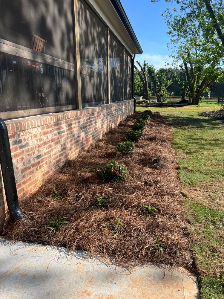 All Photos for LC Lawn Care & Landscaping in Canon, GA