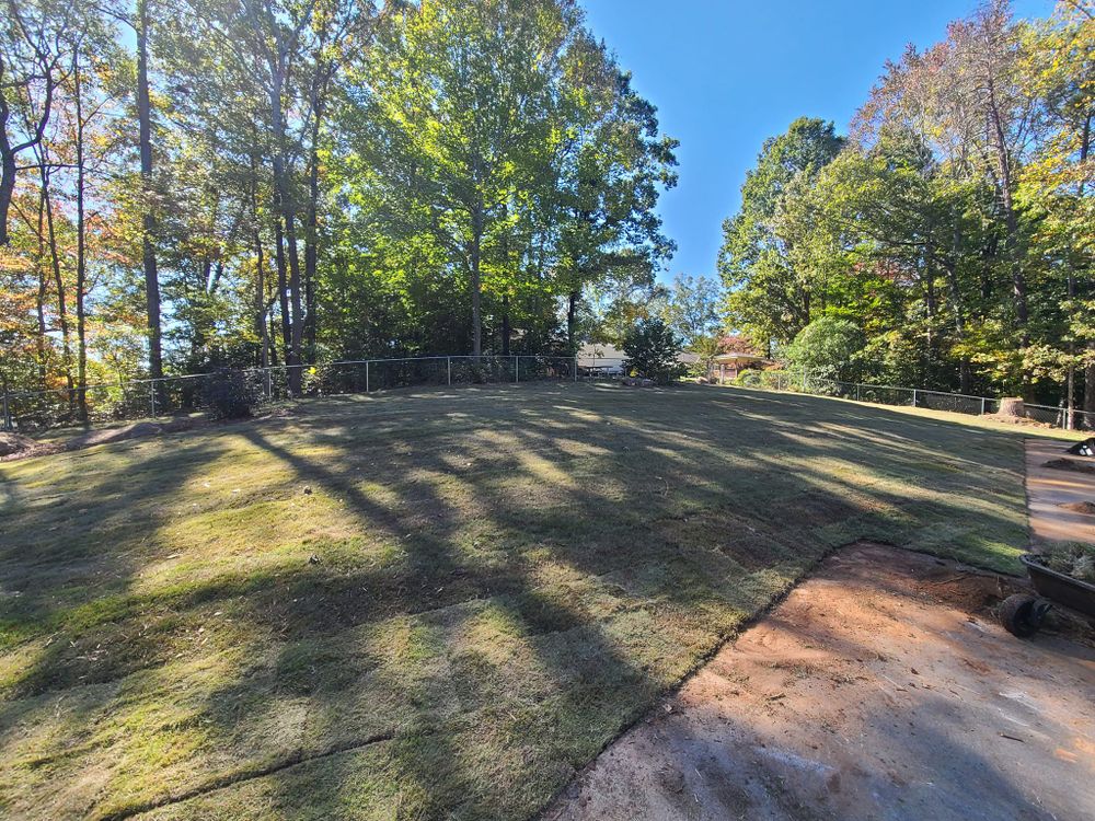 Landscaping for Paradise Landscaping and Tree Service in Greenville, SC