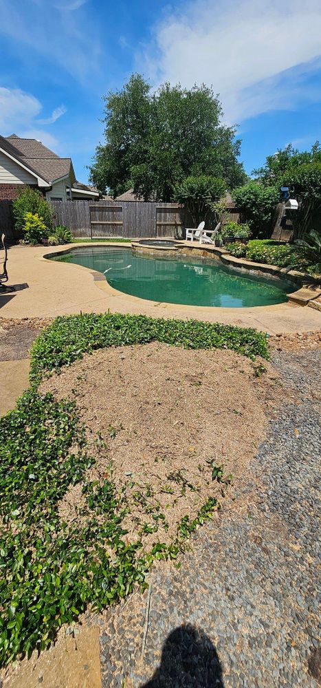 All Photos for Servin's Tree Care  in Houston, TX