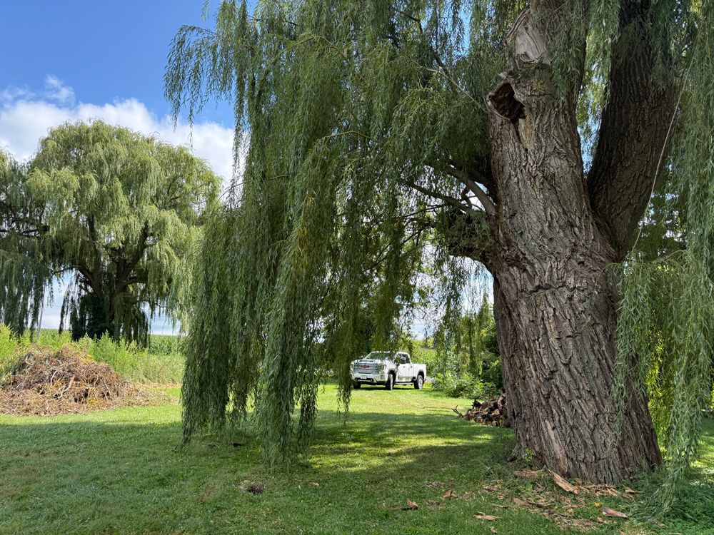 All Photos for Perfect Lawn Solutions LLC in Marshall, WI