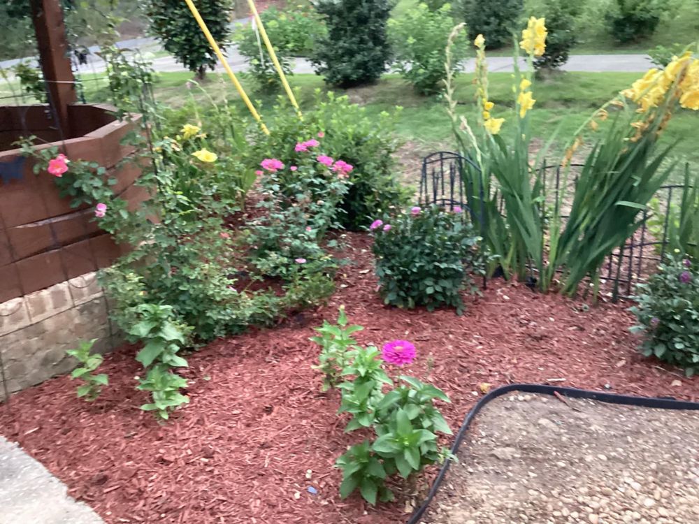 All Photos for Xtreme Landscaping & Lawn Care in Lincoln, AL