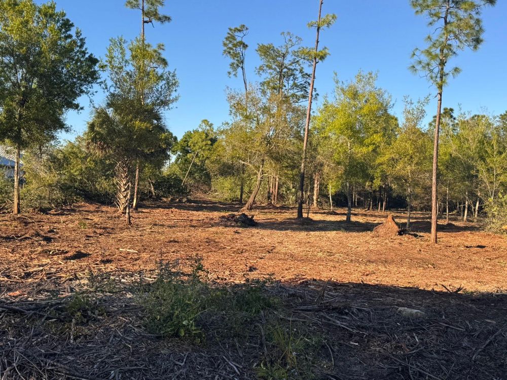 All Photos for McLeran in Naples, FL