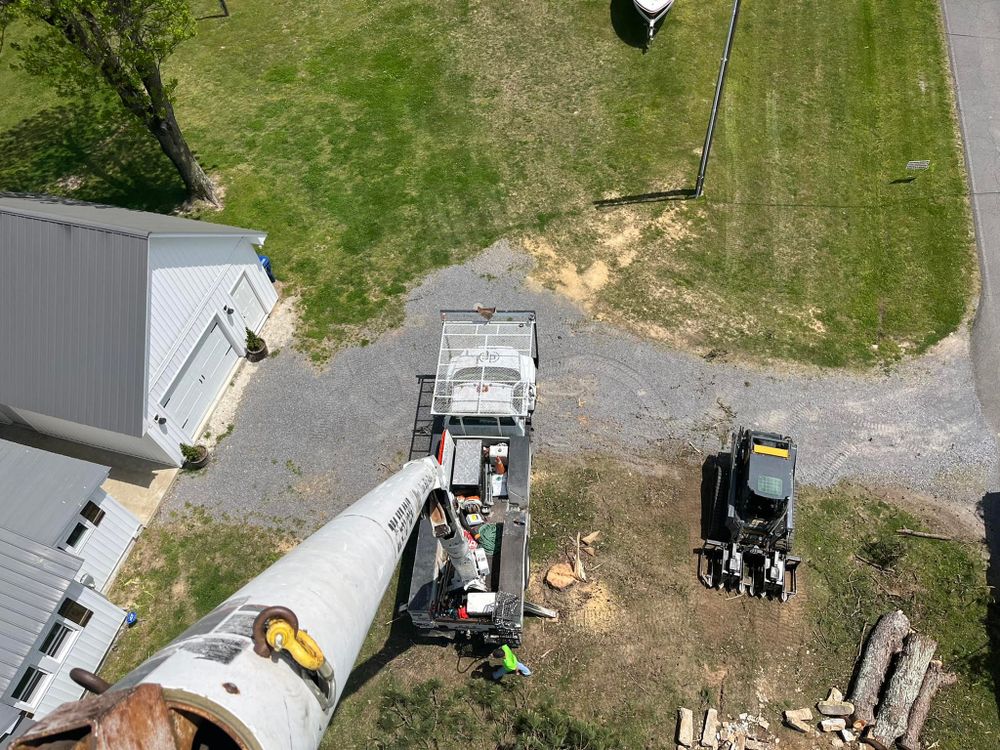 Tree Removal for Big Rock Tree Removal LLC in Boaz, AL