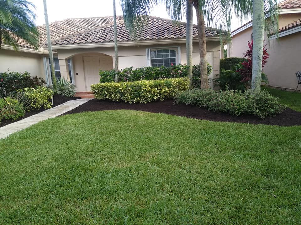 Landscaping for VS Landscaping Services inc. in Fort Lauderdale, FL