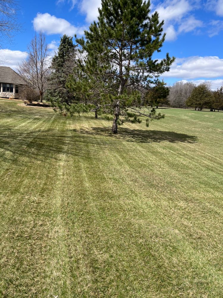 Lawn Care for K and Z Lawn Care in Andover, MN