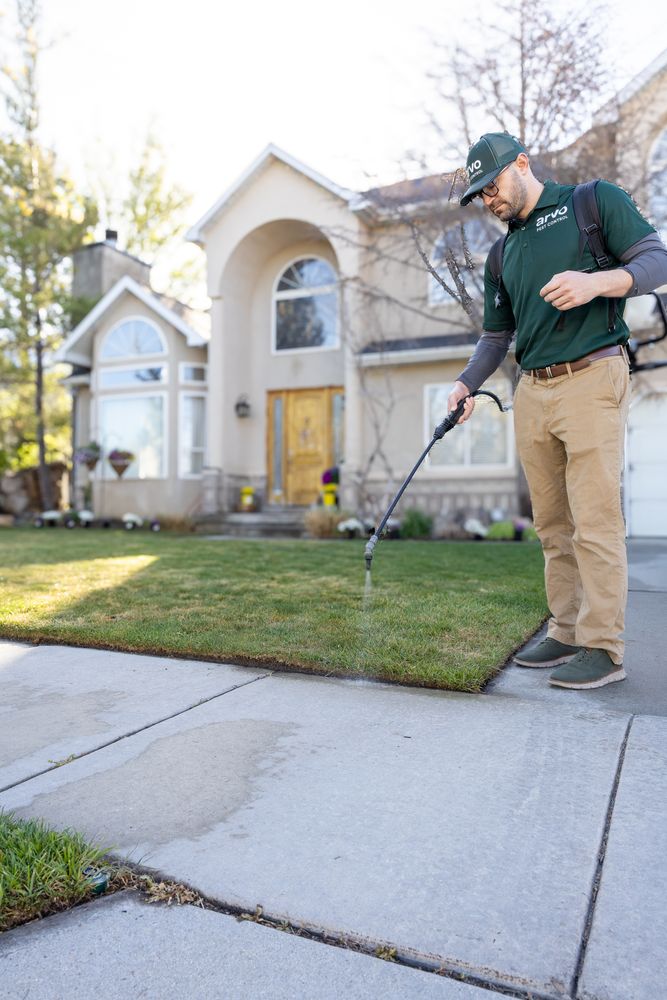 All Photos for Arvo Pest Control in Sandy, UT