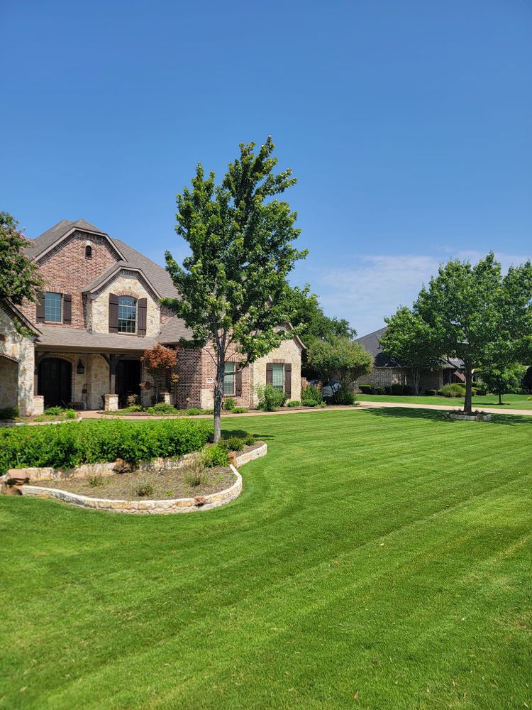RACSO RDZ LLC team in McKinney, TX - people or person