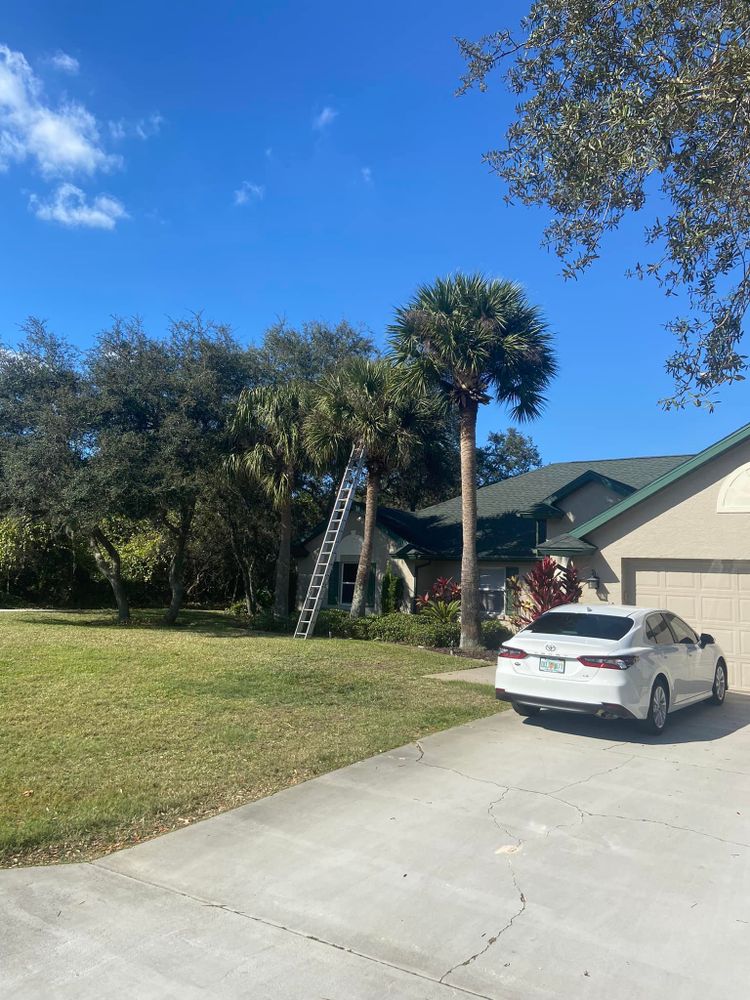 Fall and Spring Clean Up for Efficient and Reliable Tree Service in Lake Wales, FL