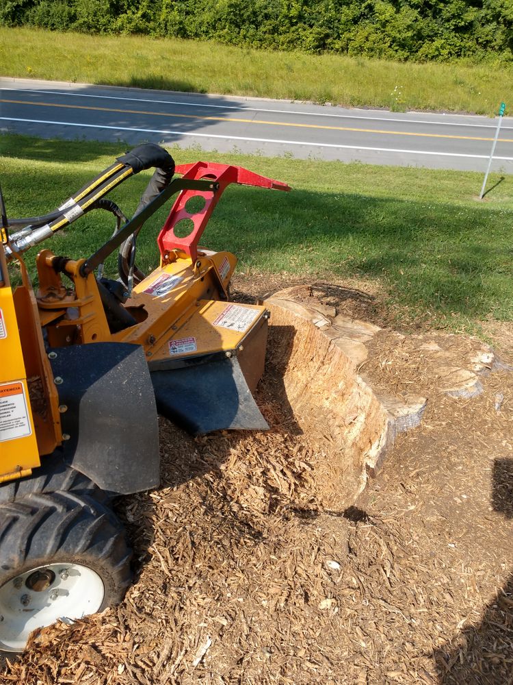 Stump Removal for TH Property Service, LLC in Manlius, NY