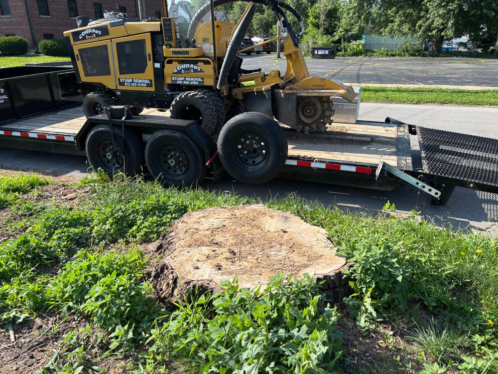 All Photos for Conrad's Stump Removal in Columbus, IN