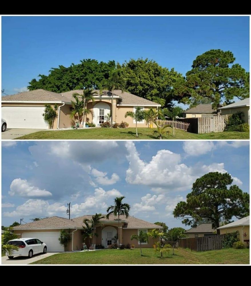 All Photos for Advanced Landscaping Solutions LLC in Fort Myers, FL