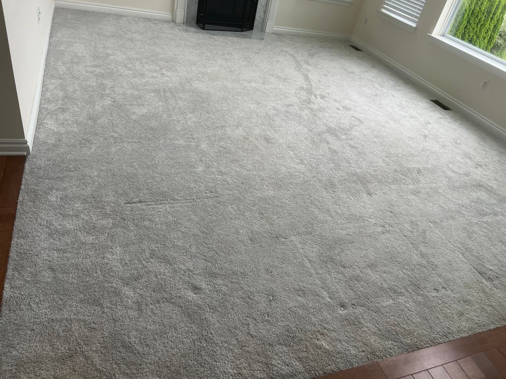 All Photos for Dib 896 Flooring in Dearborn Heights, MI