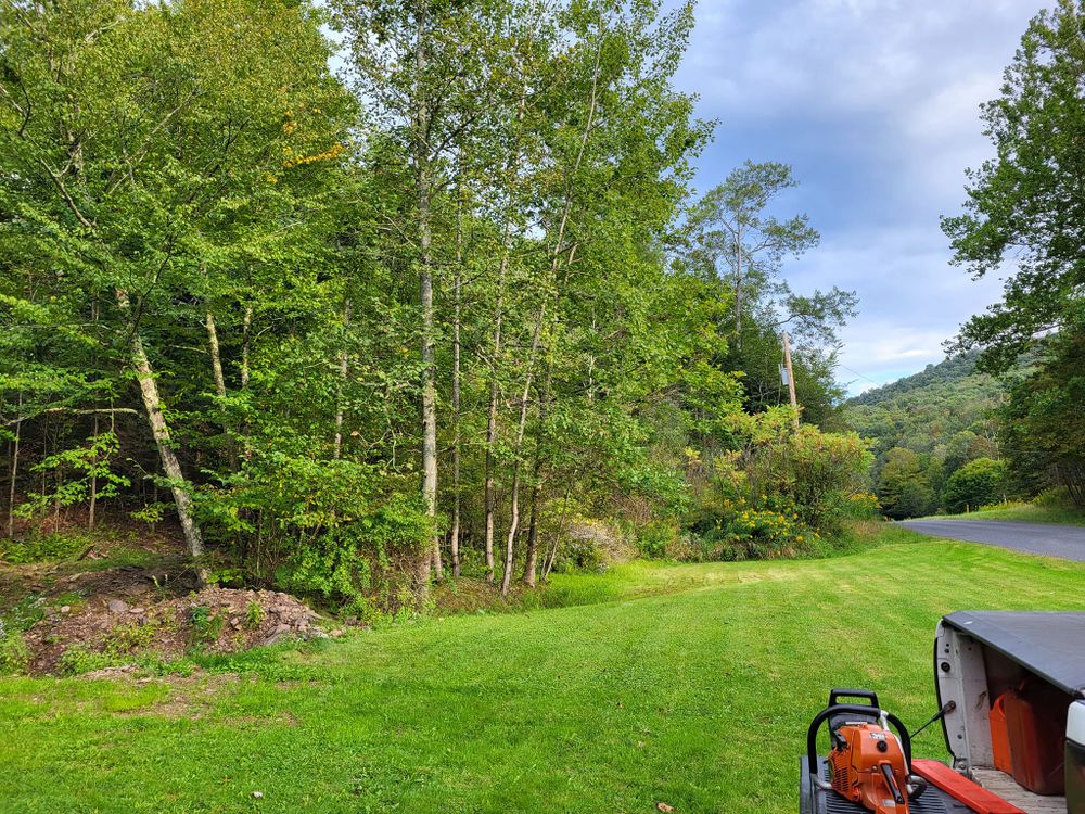 Tree Services for Fowler's Tree Service LLC. in New Albany, PA
