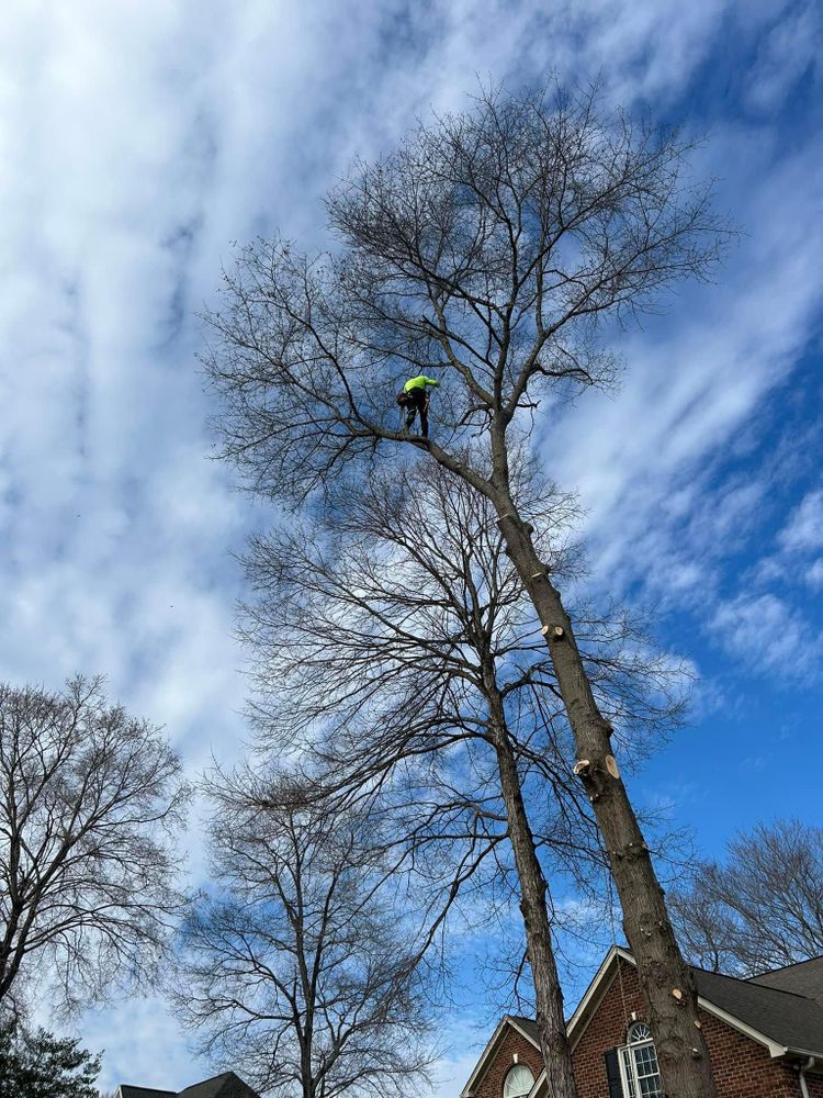 All Photos for Oakhurst Landscaping and Tree Service in Charlotte, NC