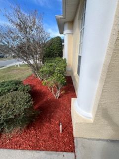 All Photos for Perfect MOs Landscaping in Hudson, FL