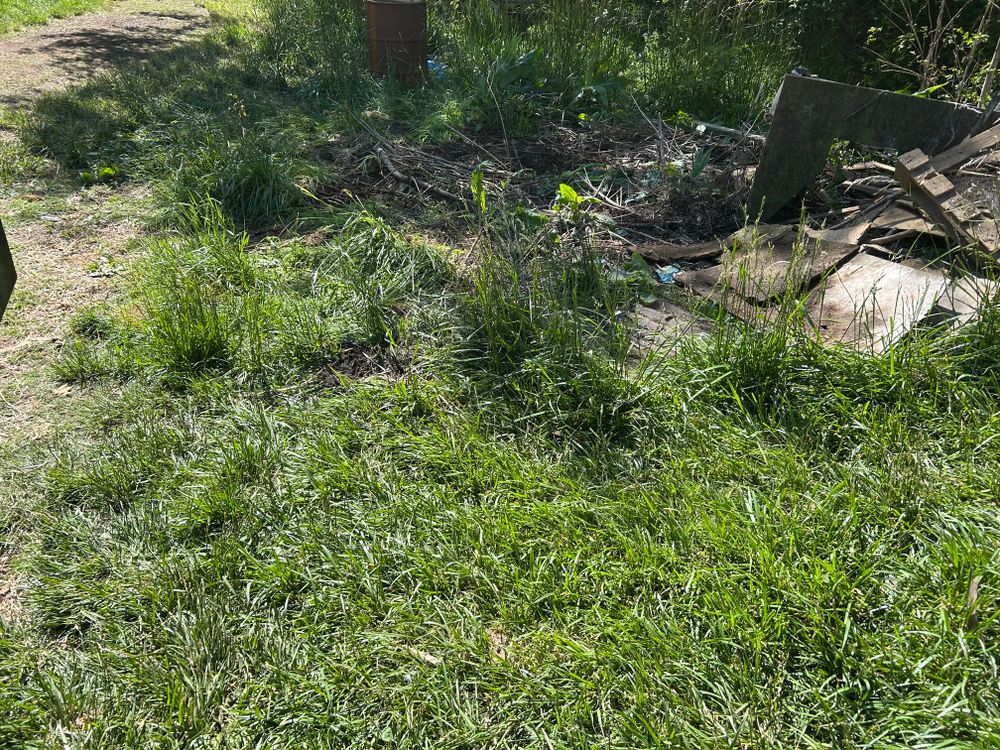 All Photos for Sol Junk Removal in Independence, OR