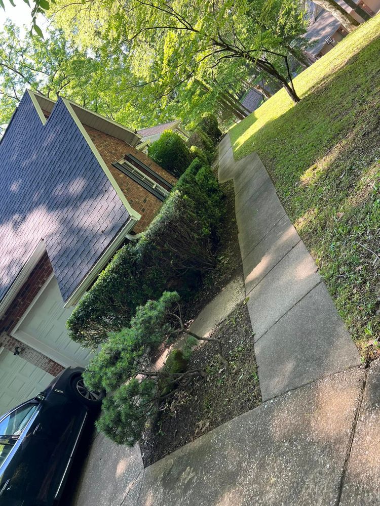 Landscaping for New Outlook Lawncare in Henderson County, KY