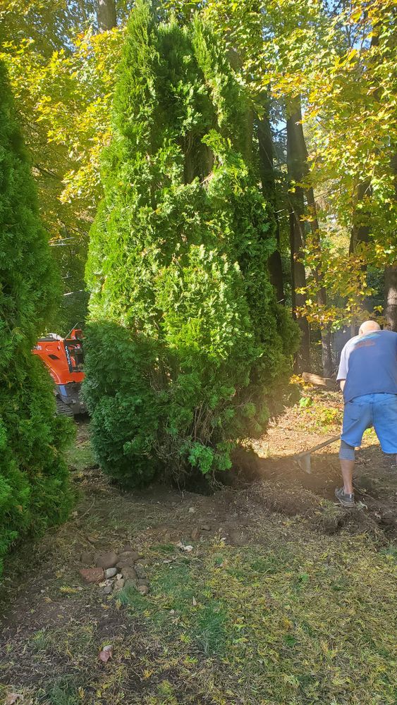 All Photos for Evolution Earthscapes, LLC in Ludlow, MA