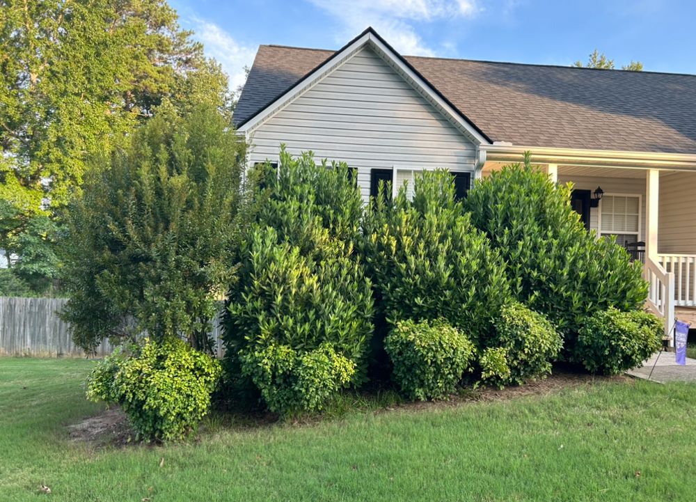All Photos for WD Lawn Services in Loganville, GA