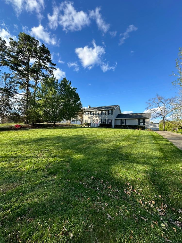 Enhance your landscape with our Tree & Shrub Care service, ensuring healthy growth and vibrant foliage through expert pruning, disease prevention, and personalized attention for a lush, beautiful outdoor environment year-round. for RZ Landscaping in Lake Wylie, SC