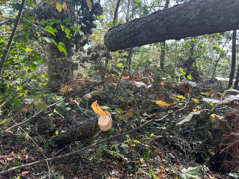 All Photos for The Flip Flop Roofer in Statesville, NC