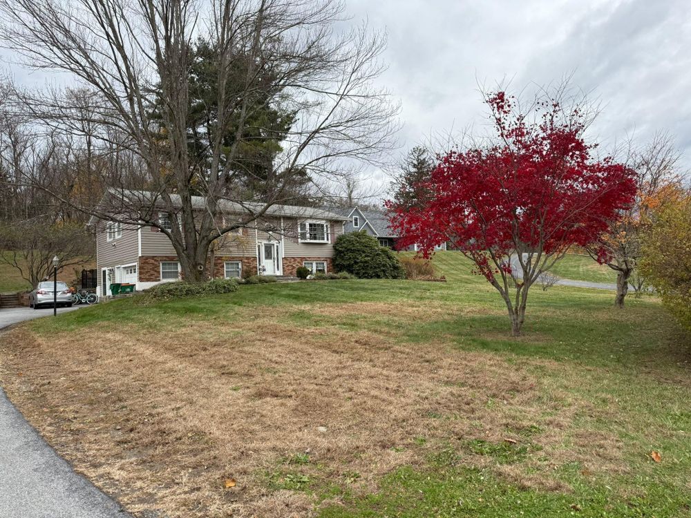 All Photos for Ardisi Property Maintenance LLC in Poughkeepsie, NY 