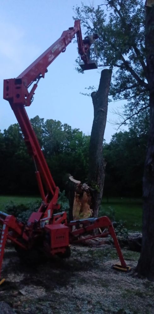 All Photos for Lawn Ranger Yard And Tree Service LLC in Ottumwa, IA