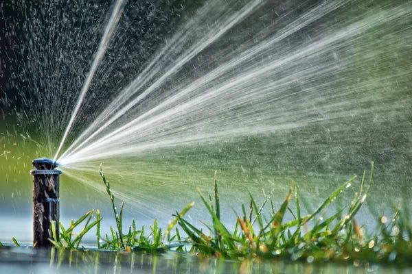 All Photos for RSI Sprinklers & Drainage  in Southwest Houston, TX