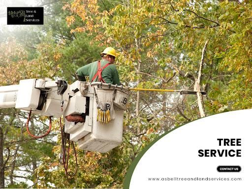 All Photos for Asbell's Tree & Land Services in Gilchrist County, FL